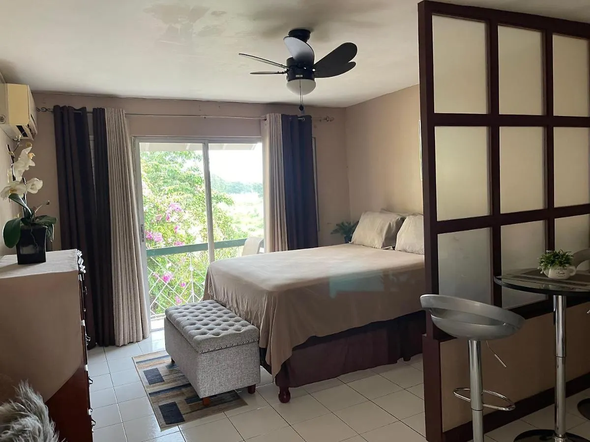 Cityscape At Chelsea Manor / New Kingston Studio! Apartment 0*,